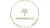 YorkshireBonsai